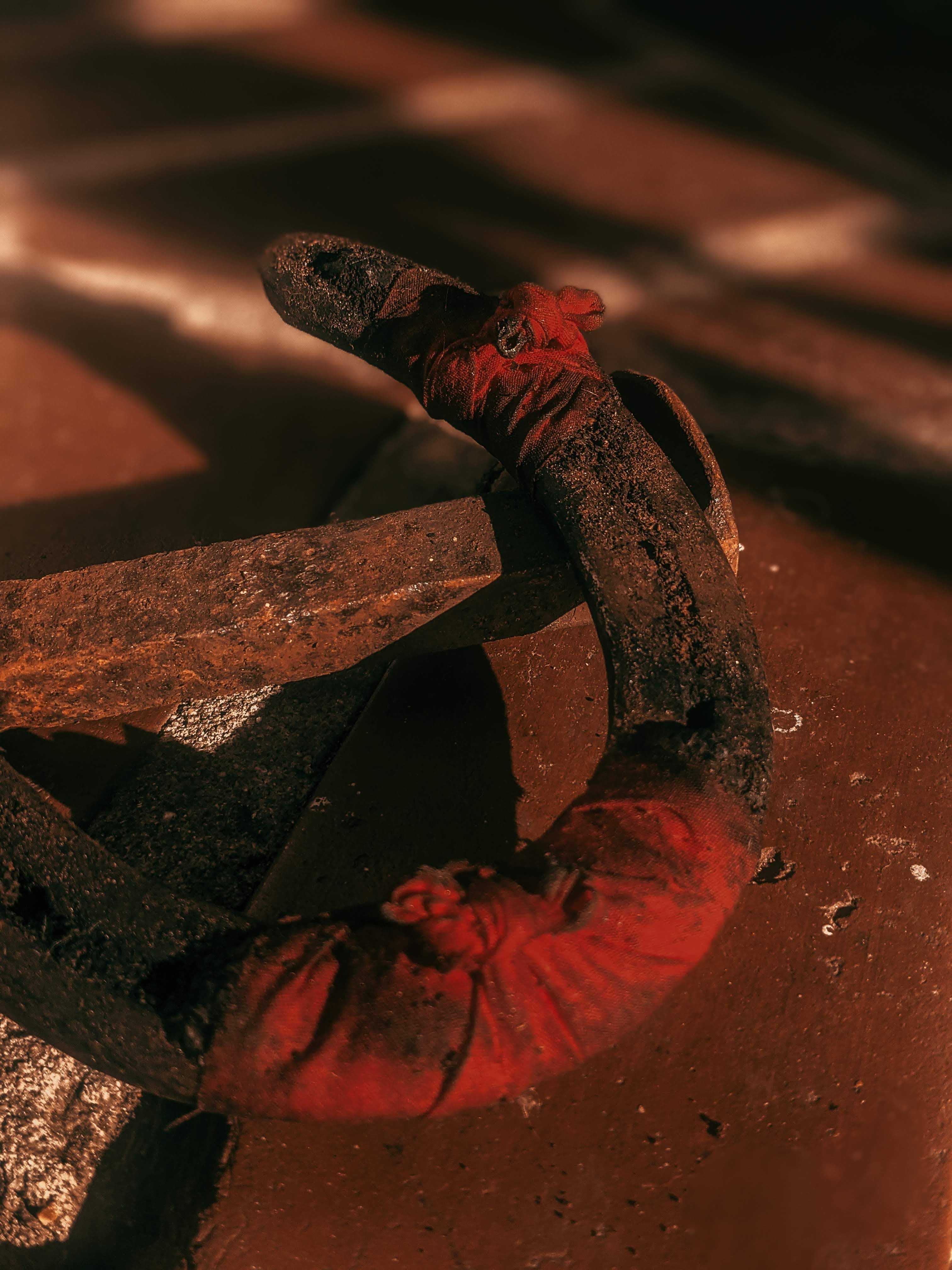 Dressed Protection Horseshoe