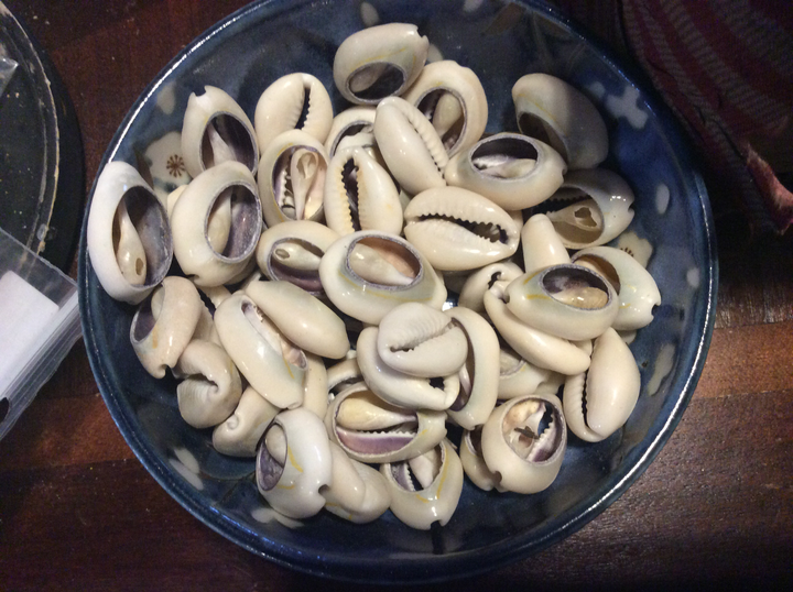 Cowrie shells
